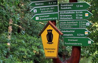 Pavillon an der Ilm - Foto 18