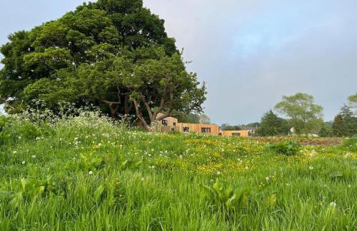 Unbox at Poplar Tree - Photo 34