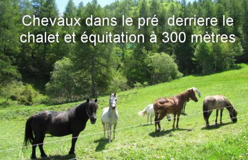 Chalet jolie vue montagne Air vivifiant - Foto 12