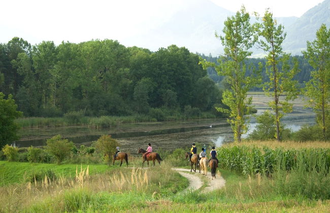 Ferienpark Scheiber - Foto 67