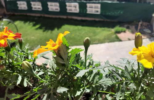 SEVEN HOUSE - Foto 22