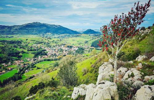 Casa La alemana - Foto 27