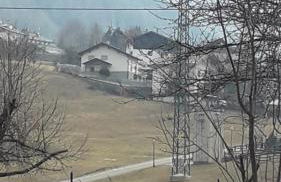 The Green Owl - Foto 61