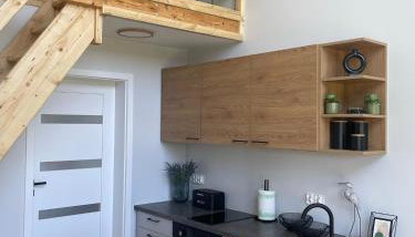 Zielona Ostoja - domek z prywatnym pomostem przy Obrzycy - Foto 4, dishwasher, pet friendly