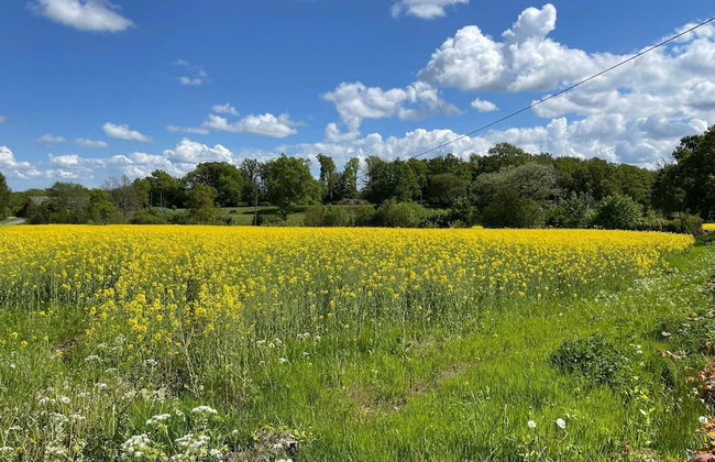 11 Person Holiday Home in Brosarp - Foto 25