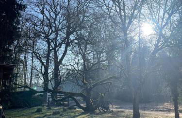 The Cottages - Pet Friendly - Photo 67