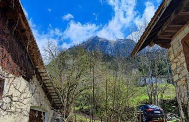 près des cimes - Photo 7