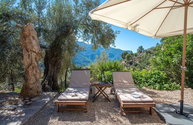 Es Seguers - Foto 25