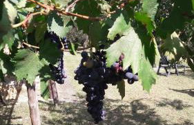 Casa Vacanze Porta Vecchia - Foto 19