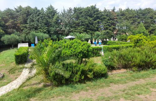 Lemontree Apartments - Foto 77