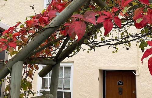 Lotte’s Cottage - Foto 21