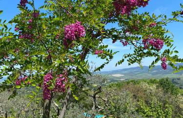 Casa di Coraggio - Foto 30