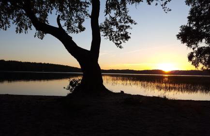 Brzozowa Polana - Foto 57