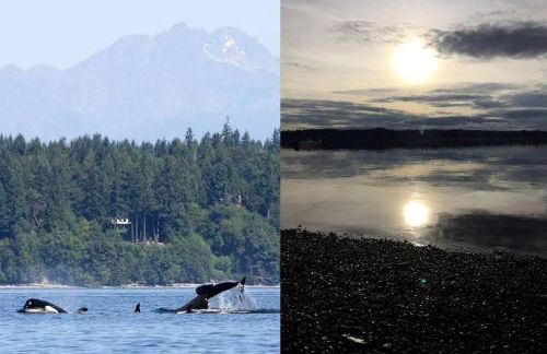 Incredible Sunset at Beachfront Glamping Cabin on Private, Herron Island with Fire Pit and Kayaking near Olympia, Washington - Foto 6