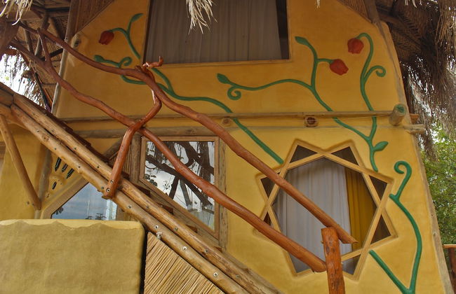 Sol de minca - Photo 9