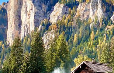 Cesa Bernard - Apartment Cima 12 e new Apartment Fraine - Foto 37