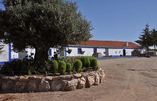 Monte das Galhanas - Foto 52