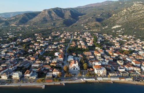 The backyard- Κατοικία στην Αγριά, Βόλου - Foto 43