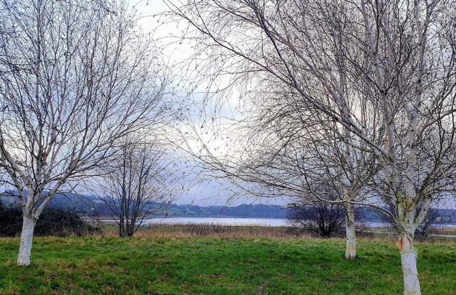 4 Star Holiday Home in Faaborg - Foto 27