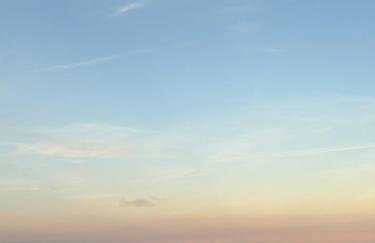 Finca Seles - Photo 2