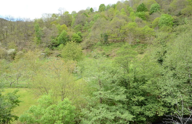 El Rincón de Limés - Foto 24