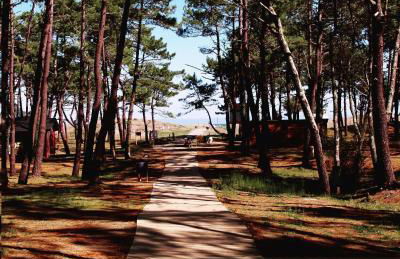 Paraíso Ortegal - Foto 73