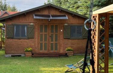 Butelkowa Zieleń - Foto 42