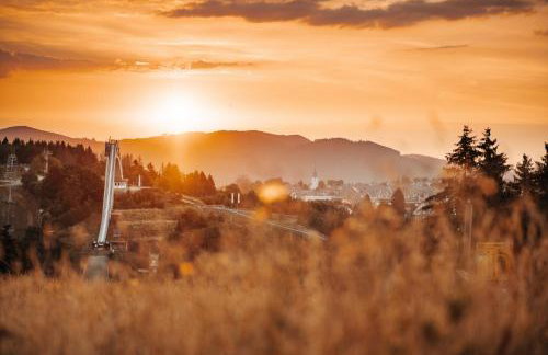 Appartement Mountain Escape 66 - Comfort & Uitzicht | Am Bergelchen 66 Niedersfeld Winterberg - Foto 57