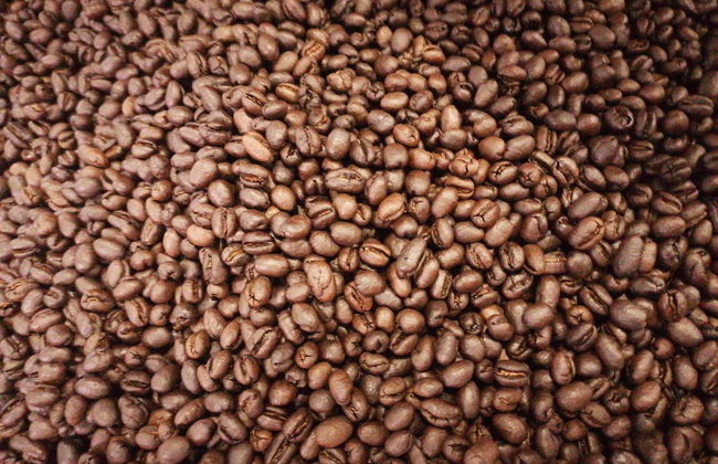 Tour del café y el chocolate - Foto 3