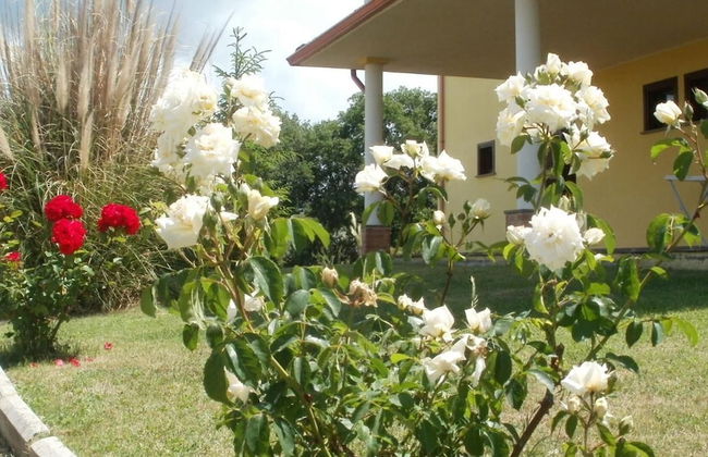 Agriturismo Le Quattro Stagioni - Foto 31