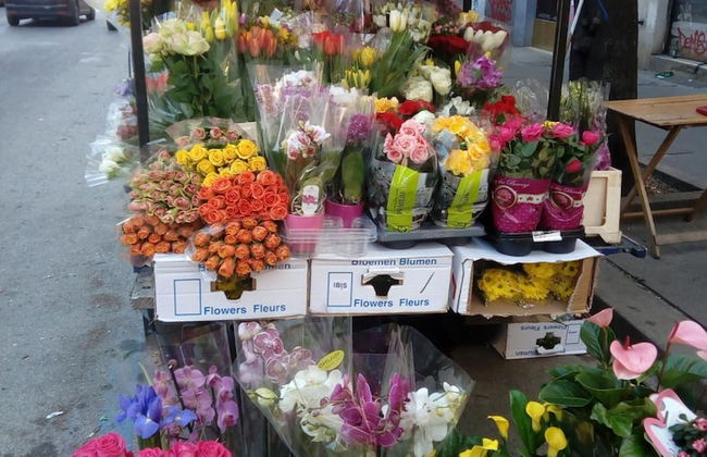 Max House Bed & Breakfast - Foto 53