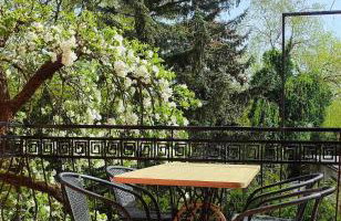 Puszczykowska willa - Foto 30