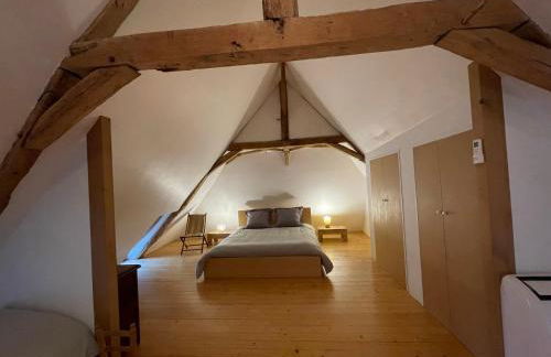 Manoir des Rosiers - Foto 10