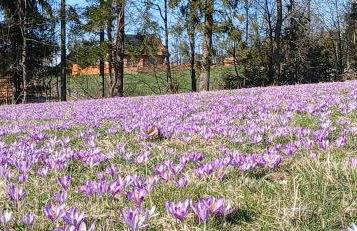 Tatra West Farm - Foto 42