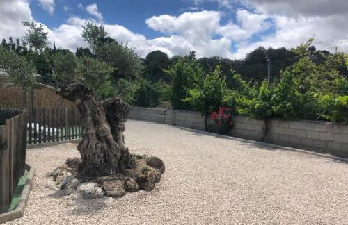 Casa de Campo Patricia - Foto 20