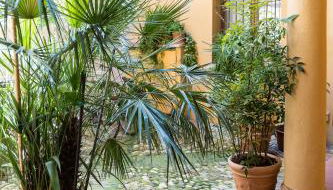 La casa del Vescovo - Foto 5