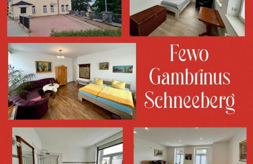 Gambrinus Schneeberg - Foto 13