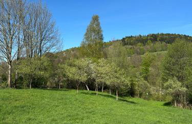 Dom Pod Dębem Agroturystyka - Foto 60