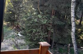 Borówkowa Dolina - Foto 21