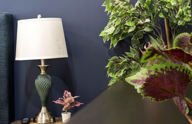 Luxury 2BD 2BA Near Logan Airport and T Station - Foto 40