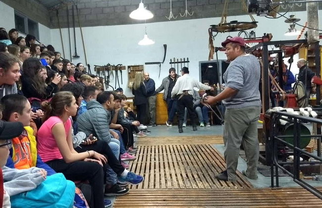 Tour di Puerto Madryn per croceristi - Foto 3