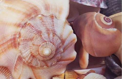 SAND CASTLE-Fun For Big Groups-Walk to Beach, Heated Pool, Lanai - Foto 31