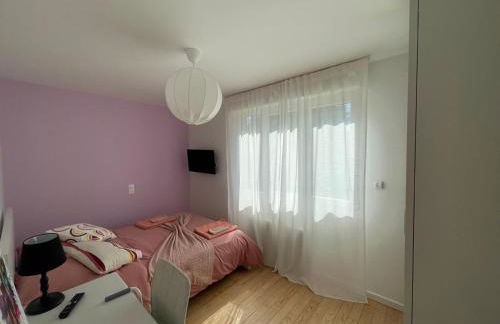 Olivier du ciel ODC - Photo 6