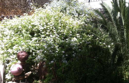 La Finca Uga - Photo 34