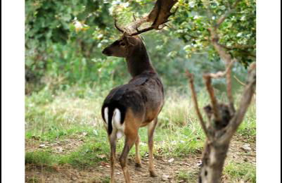 Agriturismo Poggio Degli Olivi - Guest House - Foto 124