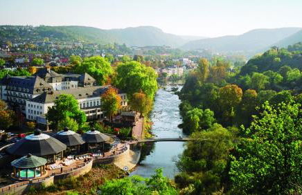 FeWo Wedemann 55543 Bad Kreuznach - Foto 24