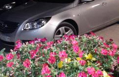 FAMILY APARTMENT ZRNKA s besplatnim parkingom - Photo 43