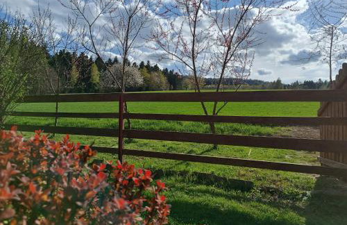 Skała i Las - Foto 17