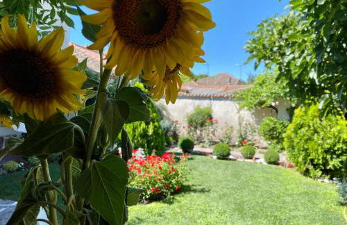 Casa Jardín El Arco - Foto 35