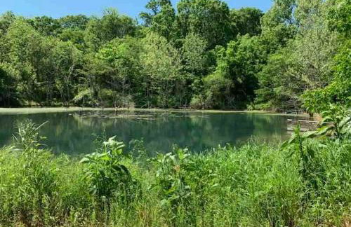 The Varnadoe Villa- Farm Stay - Foto 62